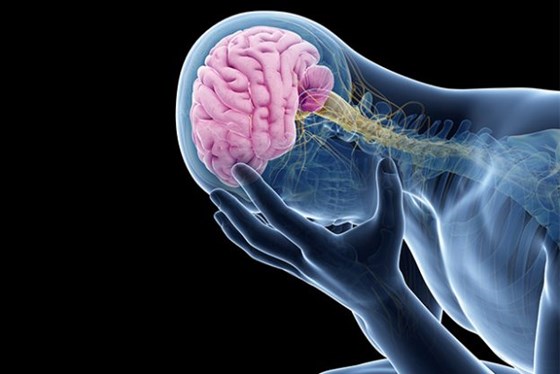 Rapid Detox Helpline: Drug Addiction Treatment At Competitive Prices